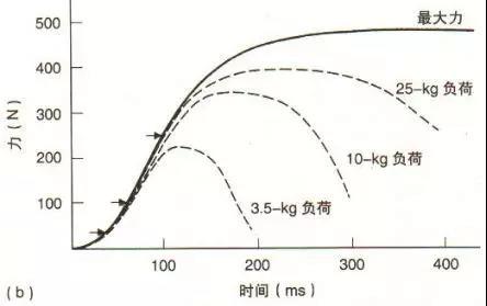 如何选择适合篮球康复训练的器材_2